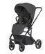 Дитячі коляски - Прогулянкова коляска Carrello Alfa CRL-5508 Graphite Grey BF велике спальне місце, з великим капюшоном
